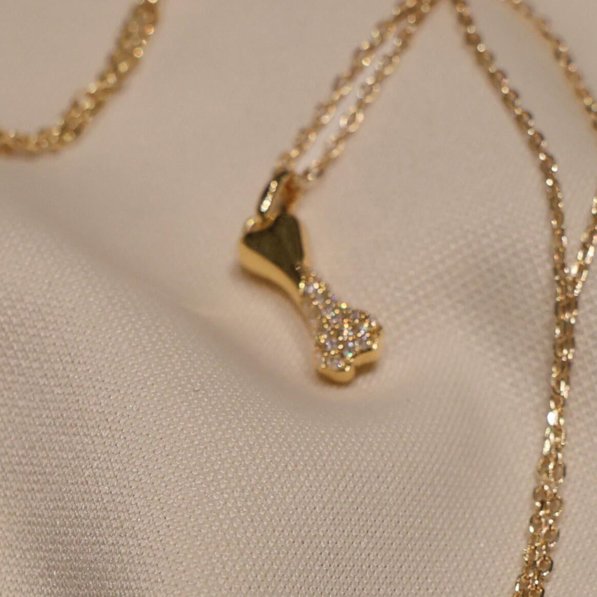 A Bone to Pick Necklace